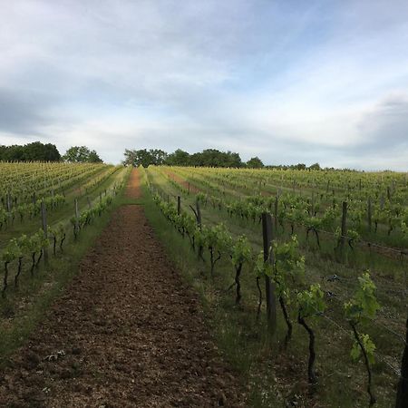 Chateau Masburel Fougueyrolles Eksteriør bilde